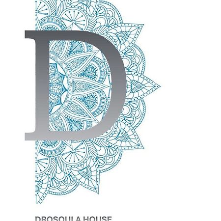 Drosoula House Villa Agios Georgios  Dış mekan fotoğraf